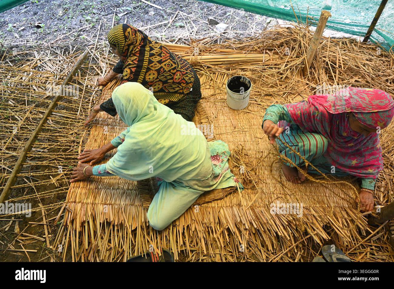 Traditional Reed Mat SRINAGAR, INDIA - MAY 19: A women artisans weave traditional reed mats ...