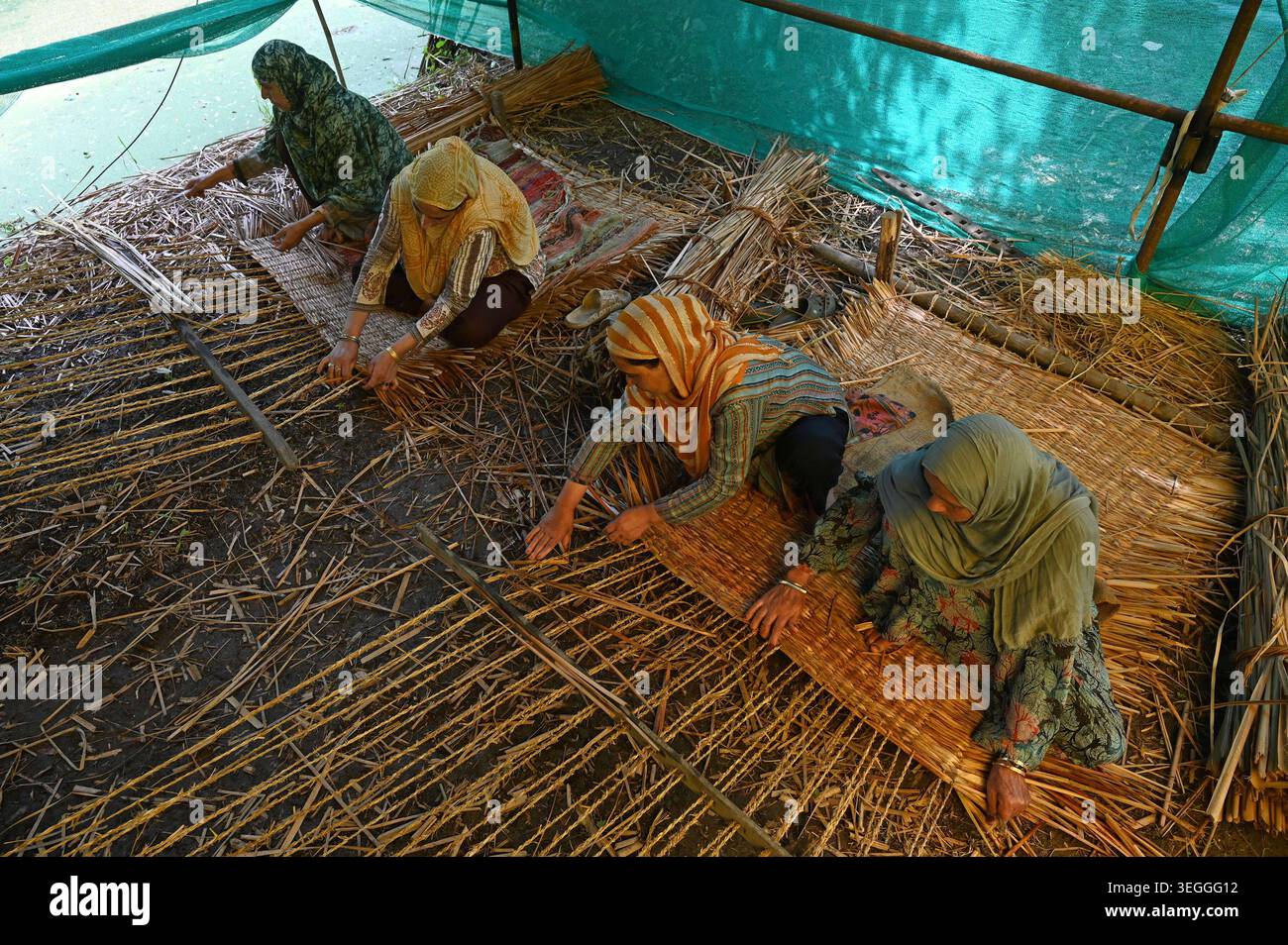 Traditional Reed Mat SRINAGAR, INDIA - MAY 19: A women artisans weave traditional reed mats ...