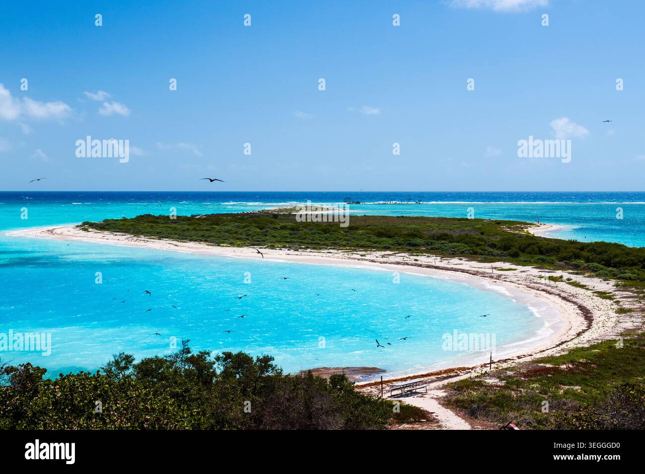 Dry tortugas national park florida hi-res stock photography and images ...