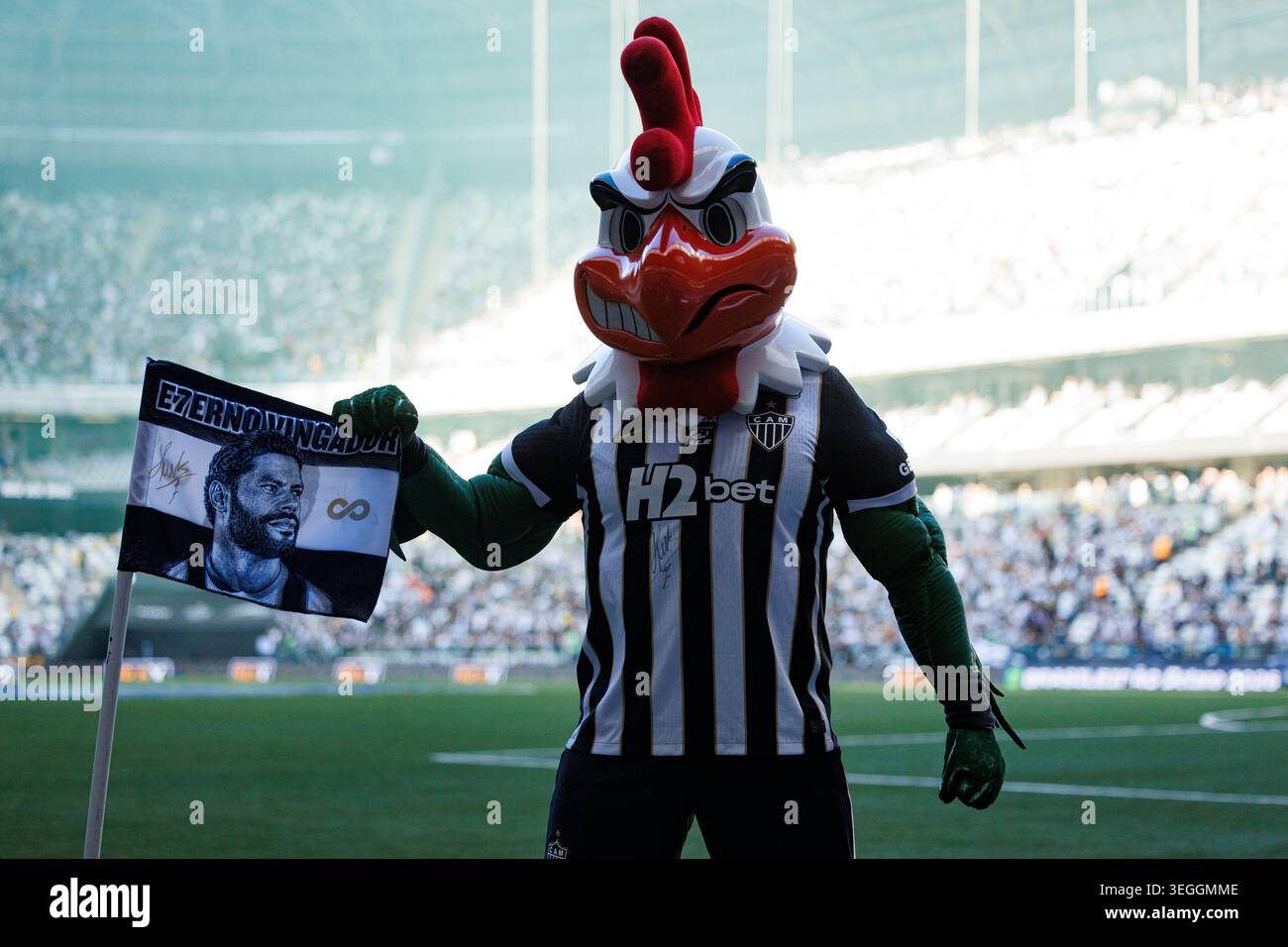belo-horizonte-brazil-may-10-the-atl-tico-mineiro-mascot-pays-a