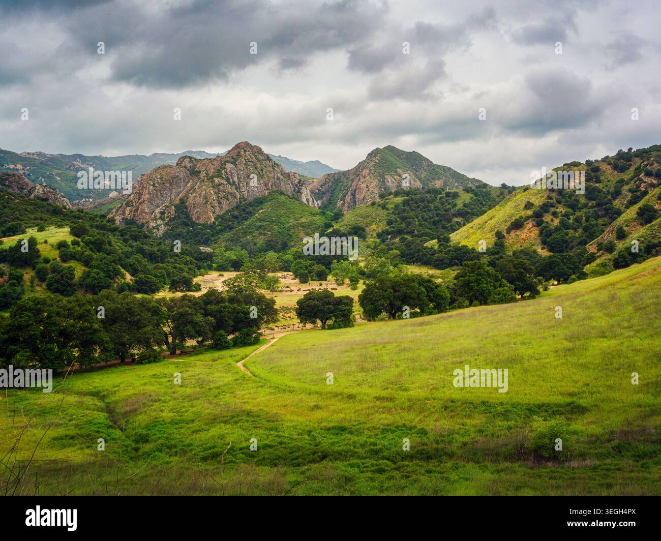 Spring hillside and oak woodland in the Santa Monica Mountains with ...