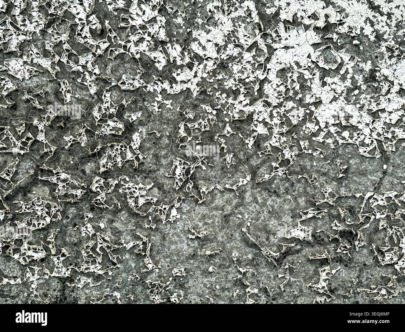Abstract Cracked Paint Texture with Gray and White Peeling Surface Stock Photo