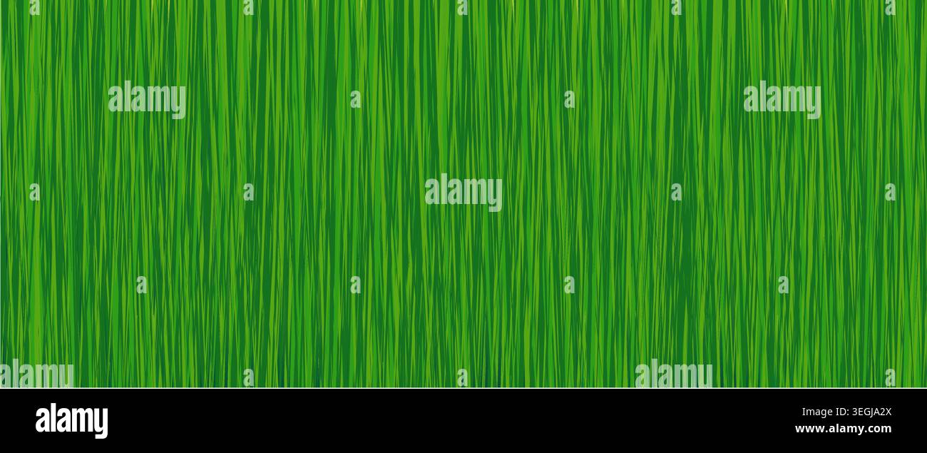 Vertical green grass texture seamless background pattern Stock Vector