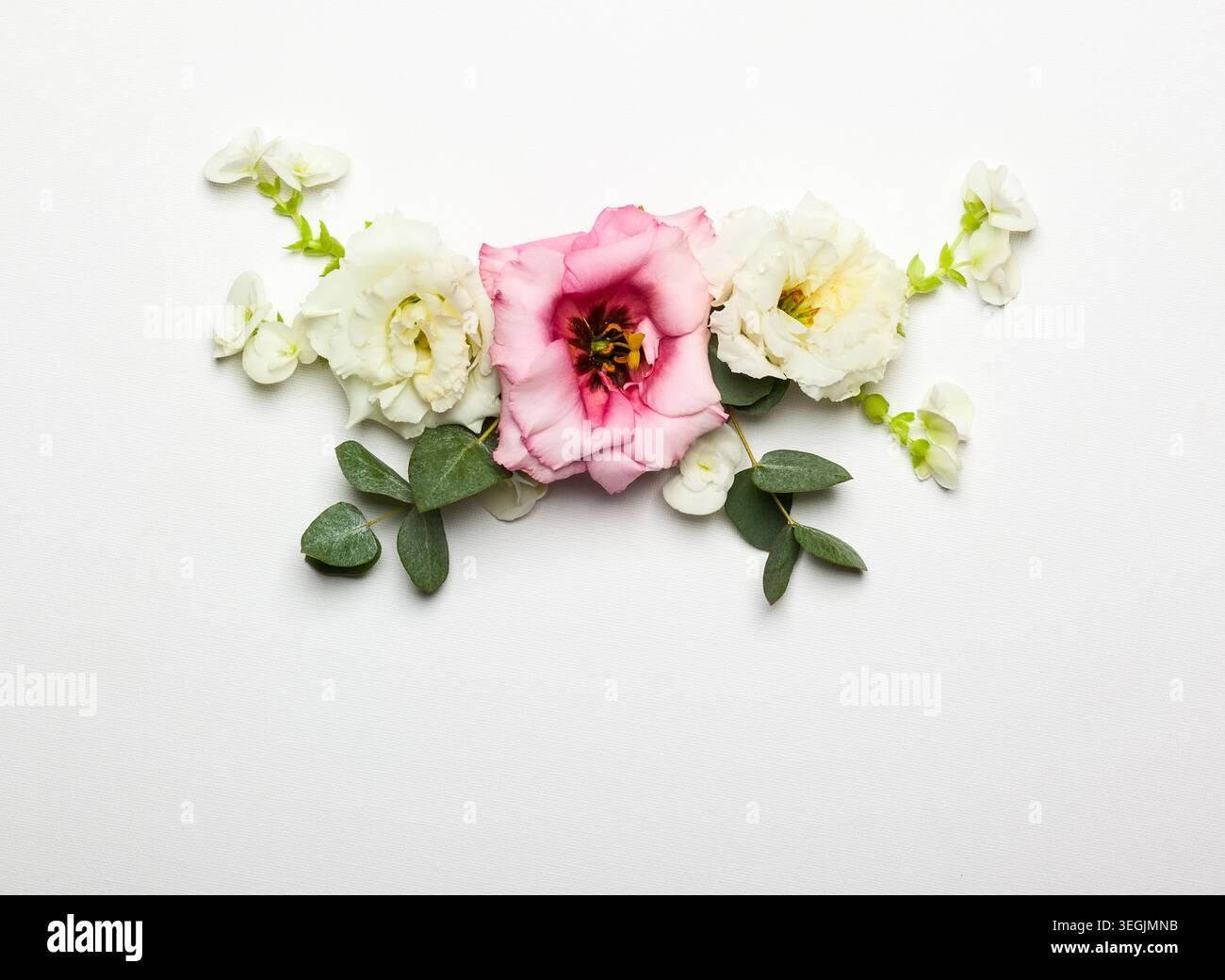 Festive flower composition on the white  background Stock Photo