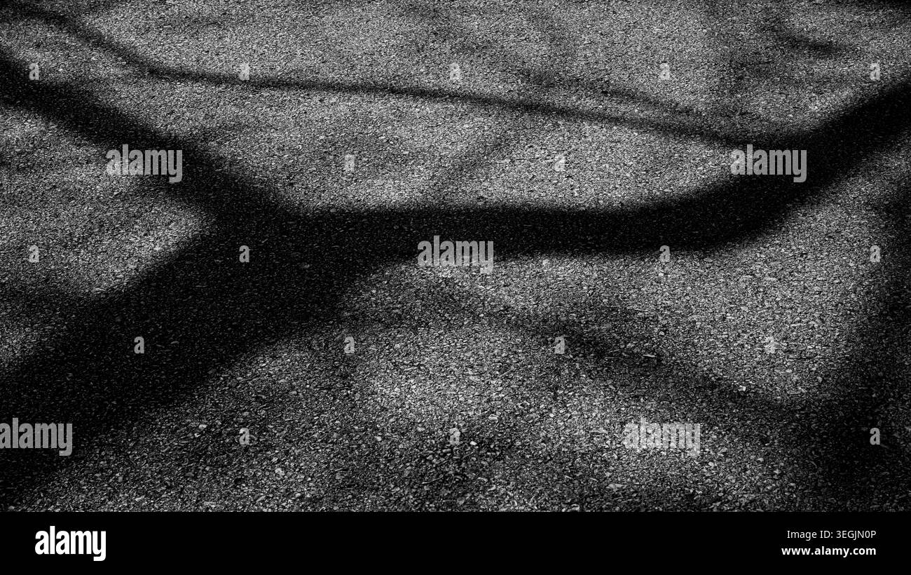 Black and White Tree Shadow Abstract Pattern on Rough Asphalt Surface ...