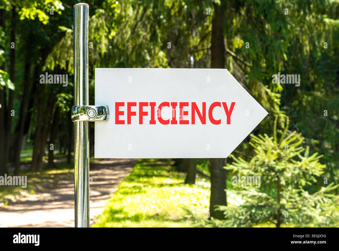 Efficiency symbol. Concept word Efficiency on beautiful big white road ...