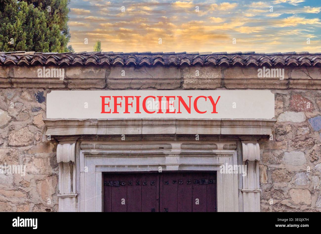 Efficiency symbol. Concept word Efficiency on beautiful white marble ...