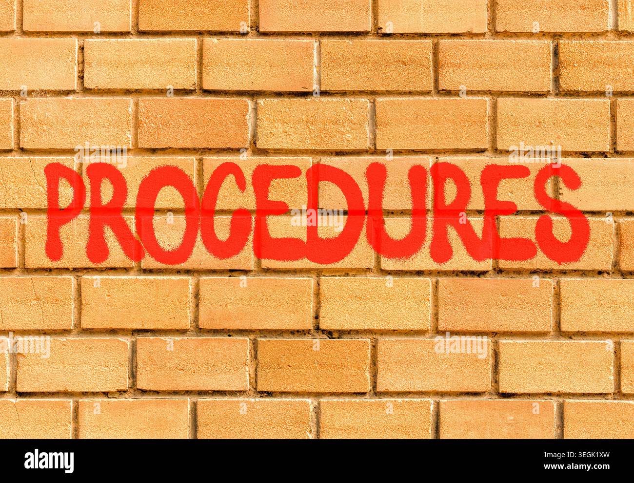Procedures symbol. Concept word Procedures on beautiful big brown brick ...