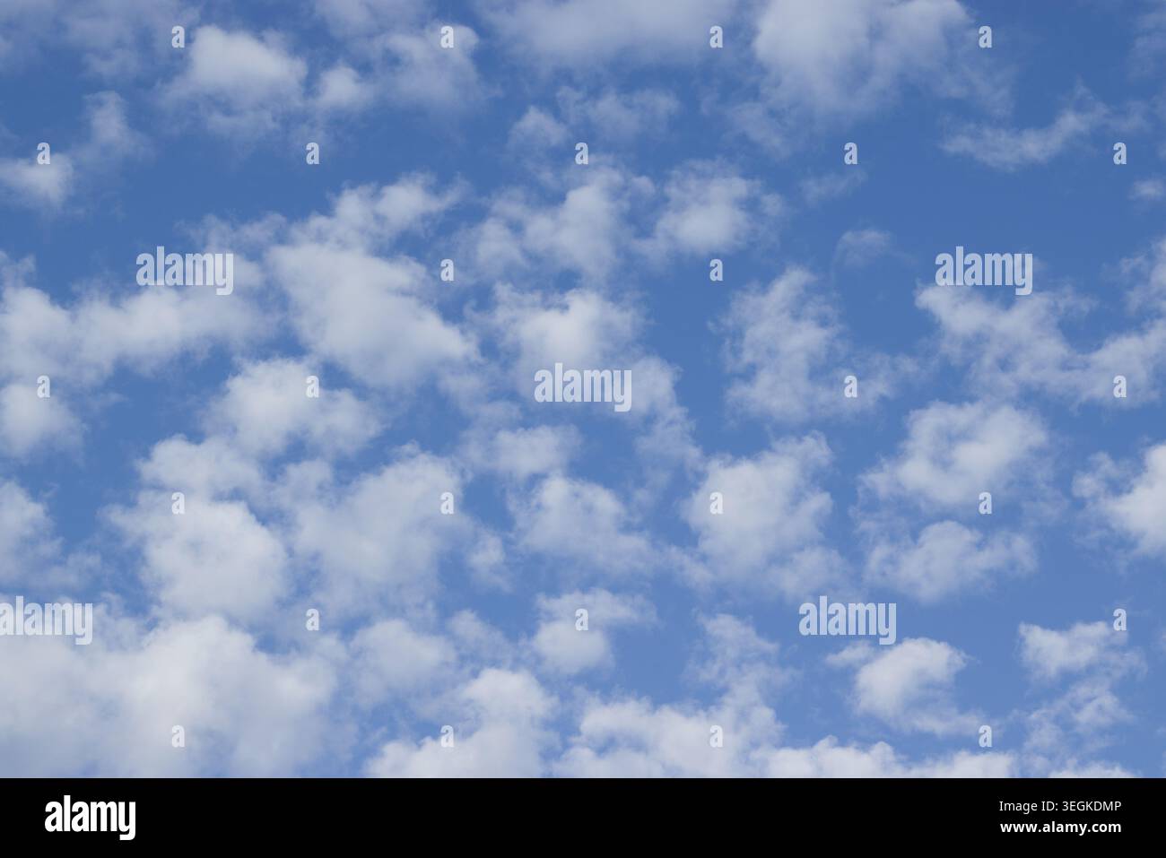 Clear blue sky filled with scattered small white clouds Stock Photo