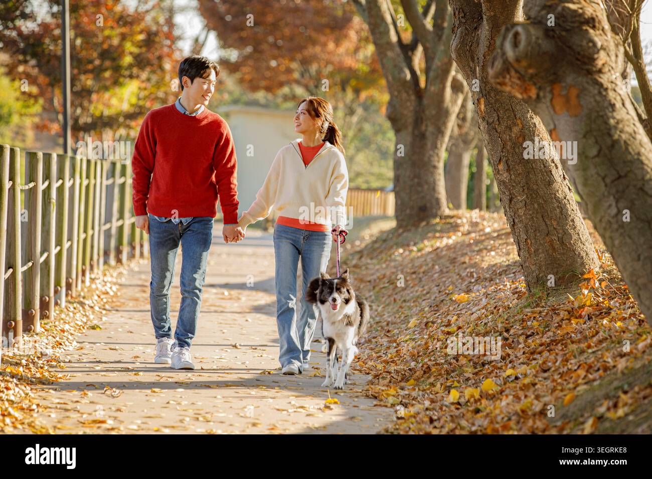 A young couple walks hand-in-hand with their dog in a sunny autumn park. Stock Photo