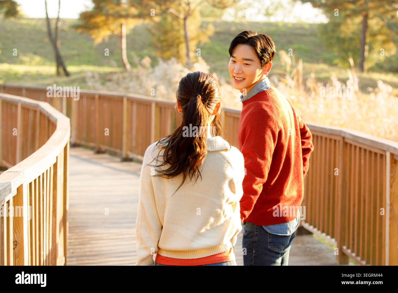 A young couple walks hand in hand on a wooden bridge in a sunny forest. Stock Photo