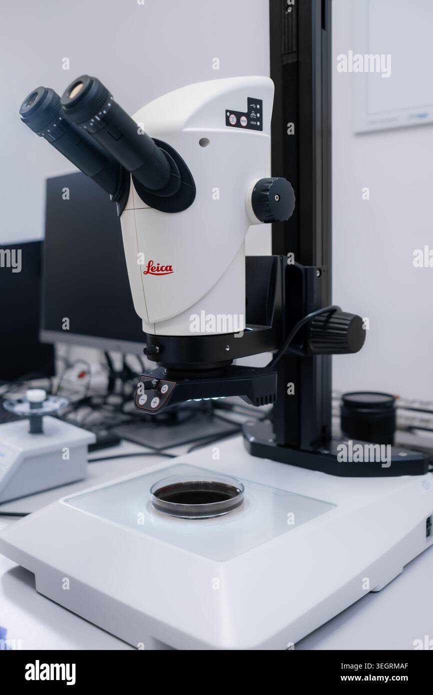 Precise Microscope Precision microscope Leica focusing on biological samples during ...
