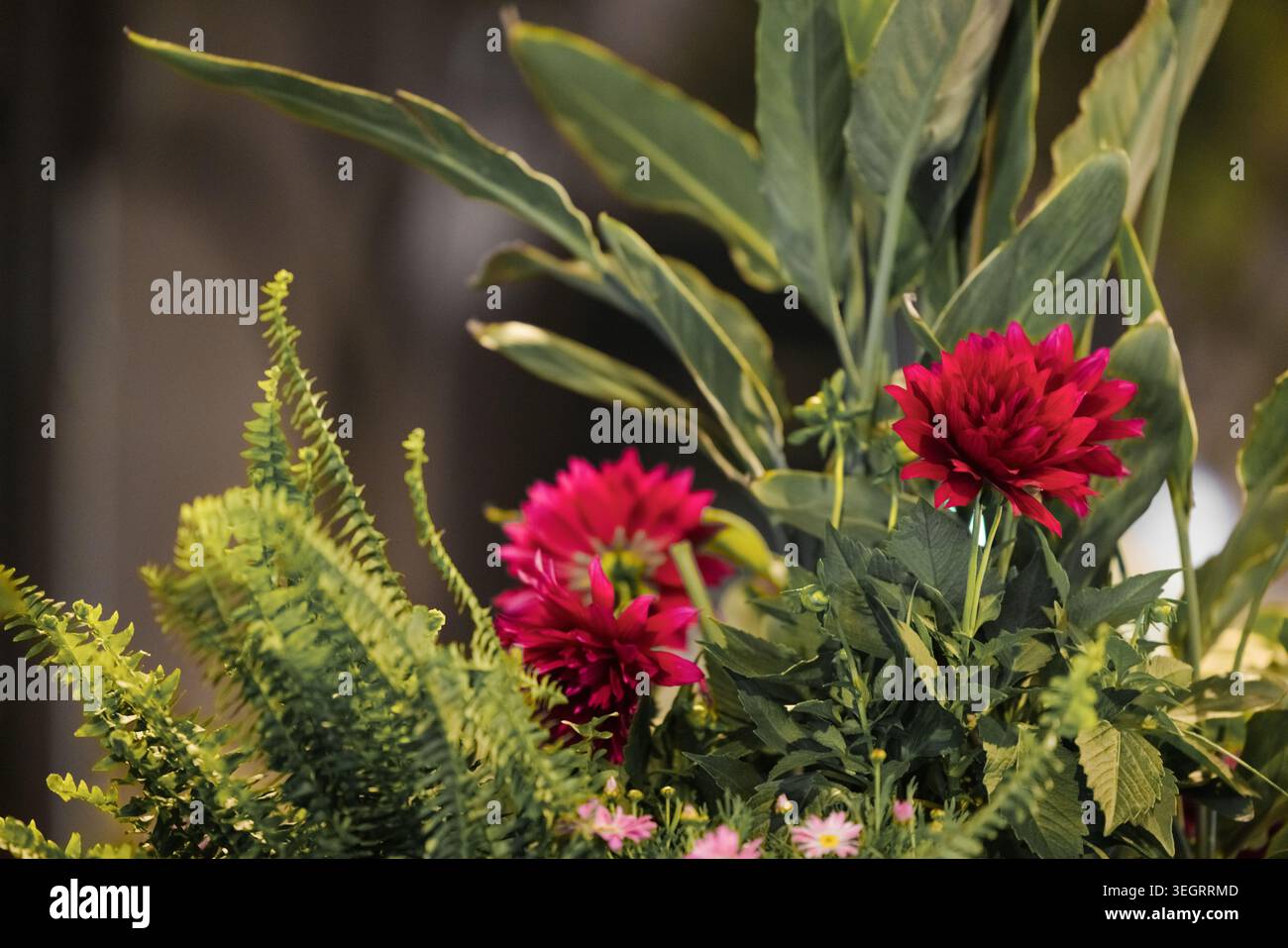 RED and green flowers, floral design for prints, postcards or wallpaper ...
