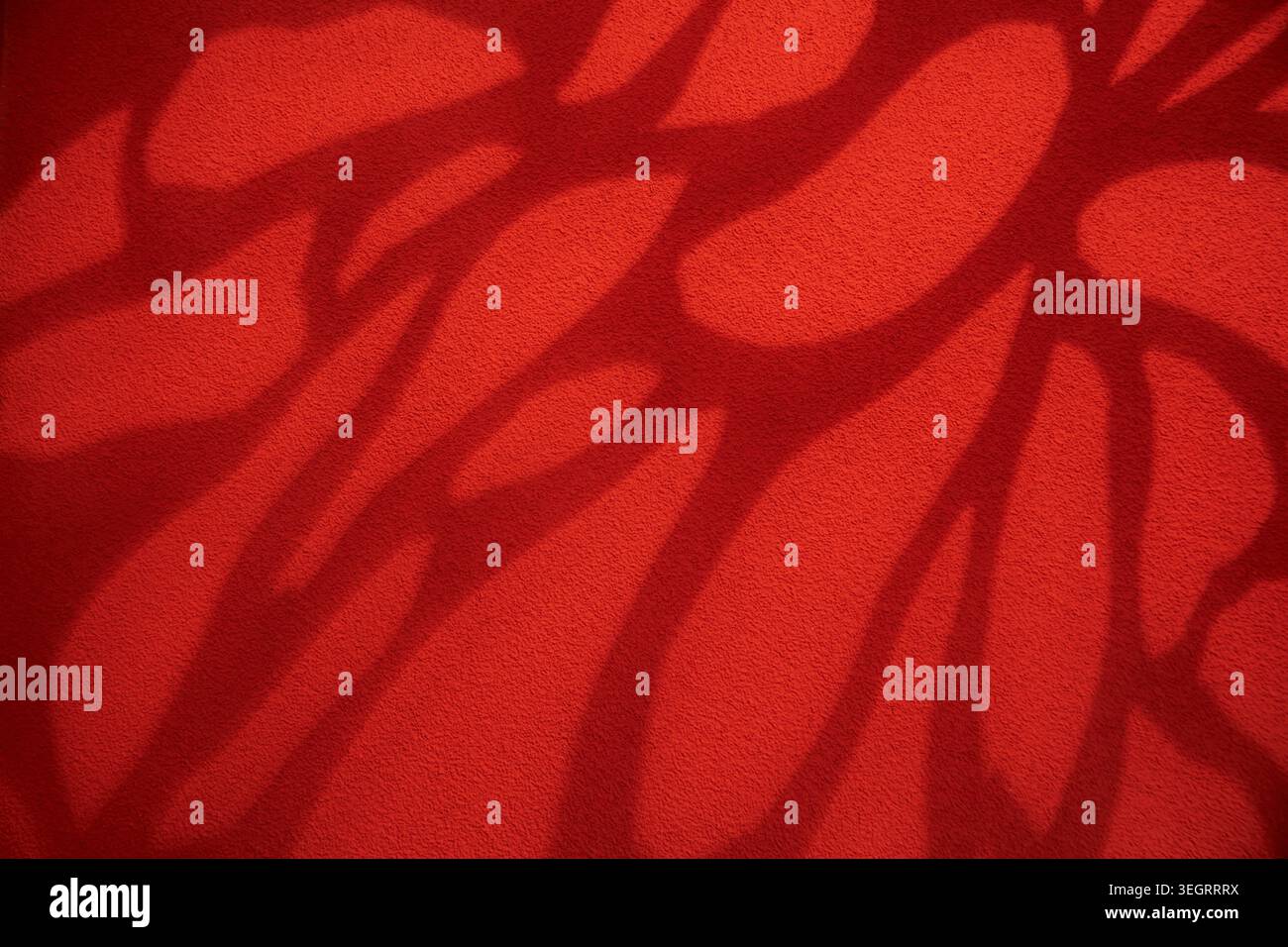 Red carpet cast hi-res stock photography and images - Alamy