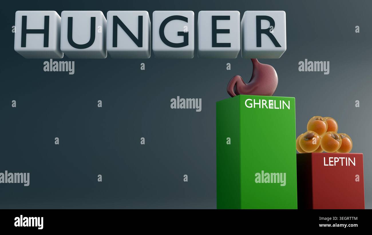 The ghrelin and leptin hormone columns features a comparative bar chart ...