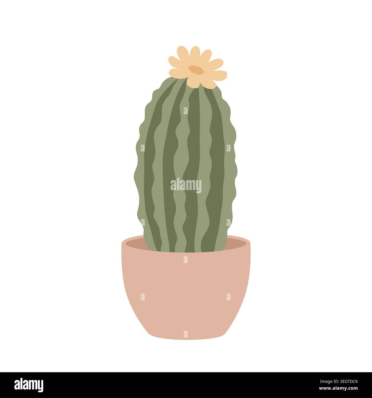 Cute Blooming Cactus Plant Illustration Stock Vector