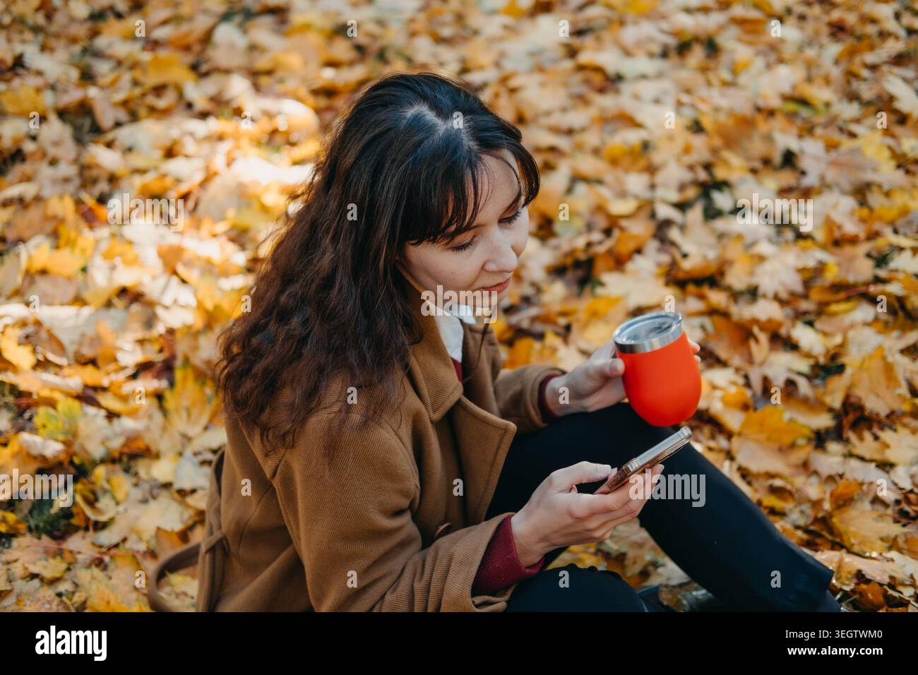 Person sits on ground using smartphone while holding thermal cup in park filled with fallen leaves. Checking banking app, using mobile navigation tool Stock Photo