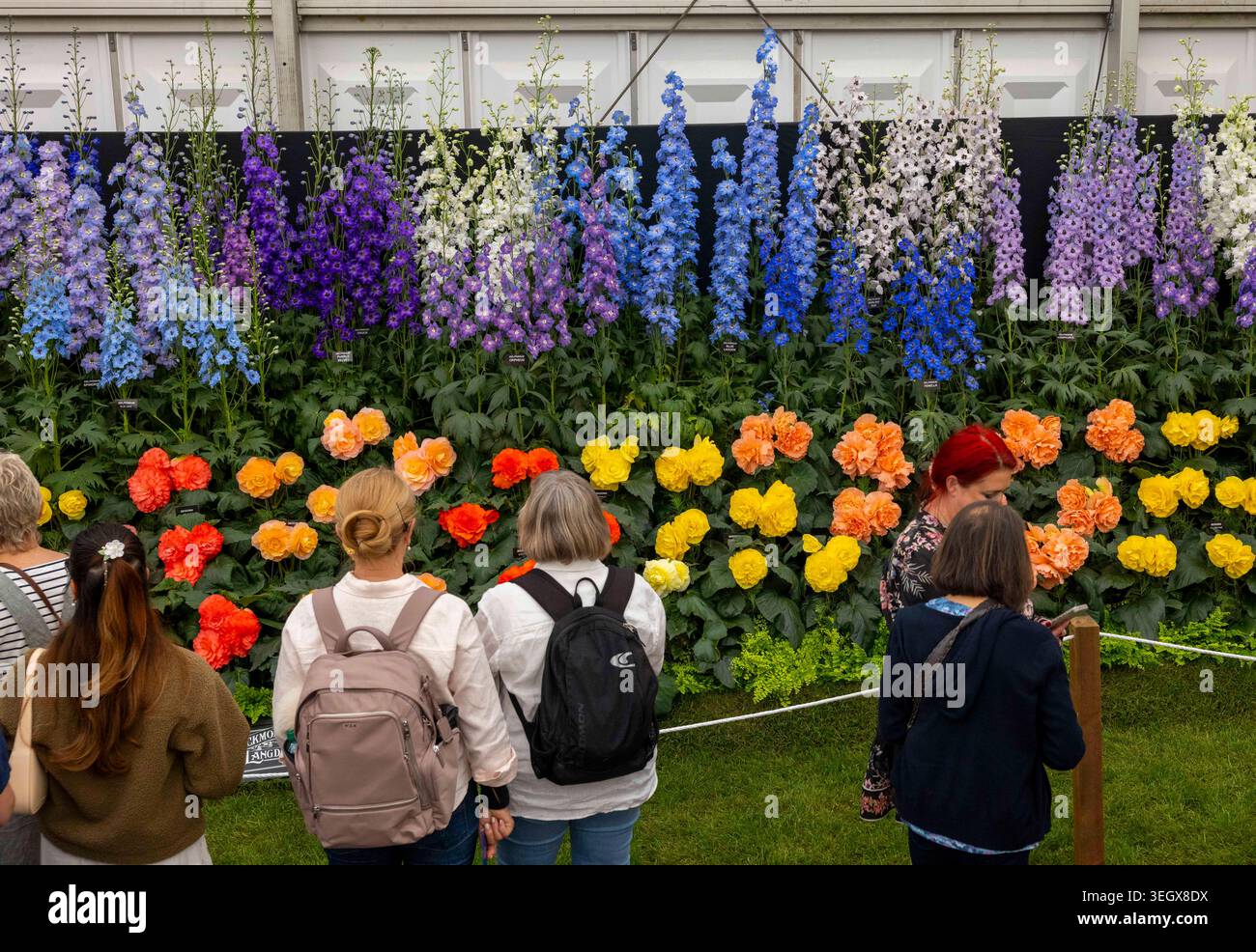 London, UK. 21st May, 2026. A busy RHS Chelsea Flower Show on the first ...