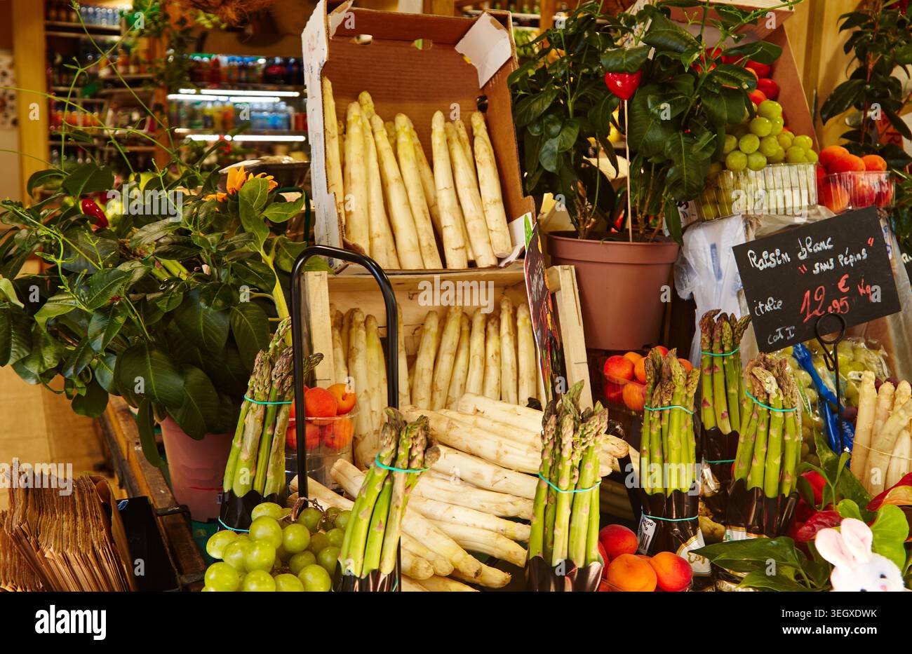 Fresh green and white asparagus arranged in a market with colorful ...