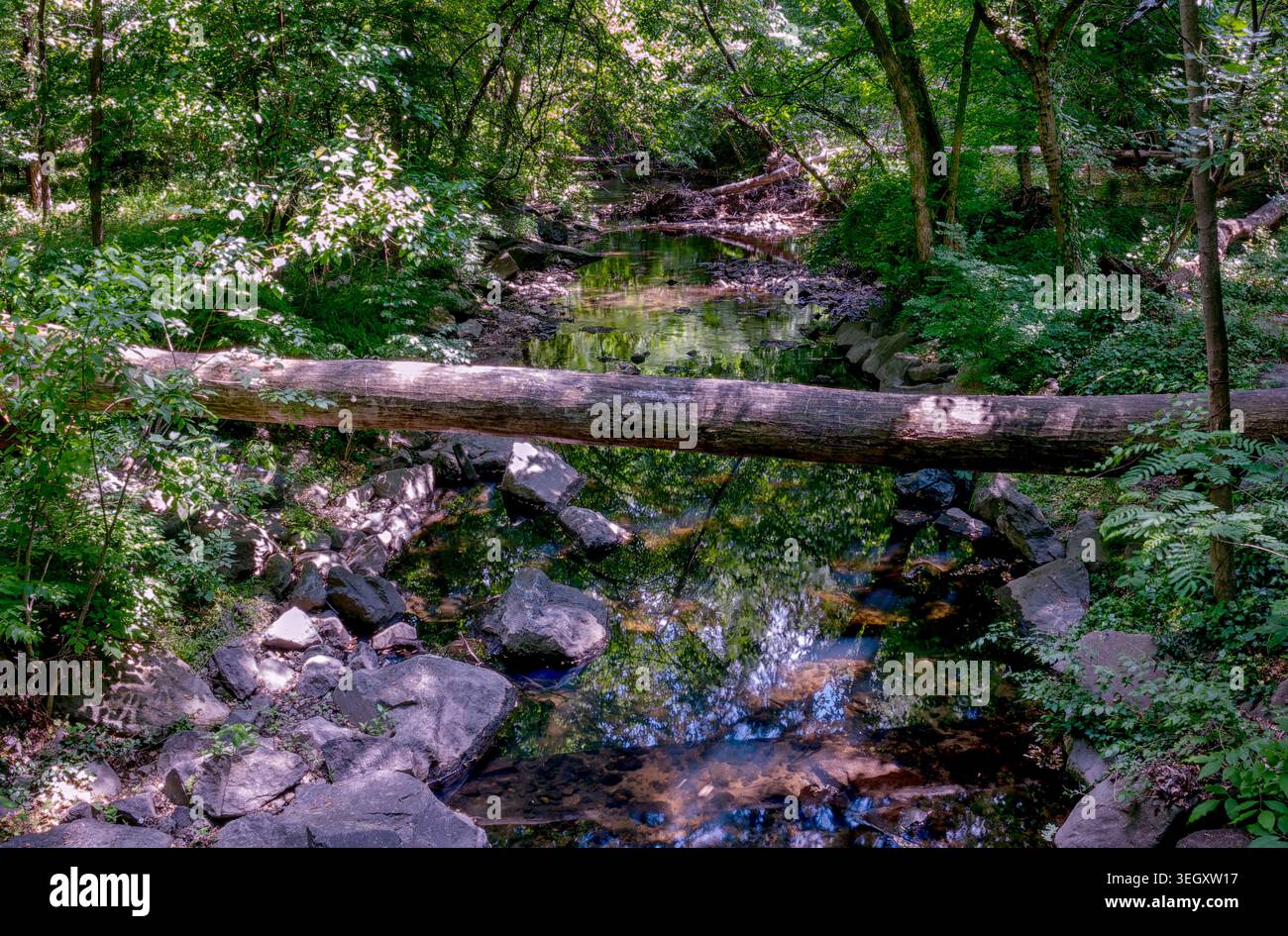 A small flowing stream in a park Stock Photo