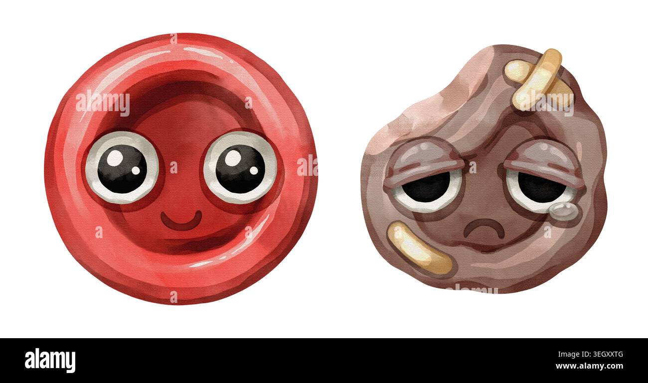 Healthy and sick red blood cell cartoon characters side by side. Hand ...