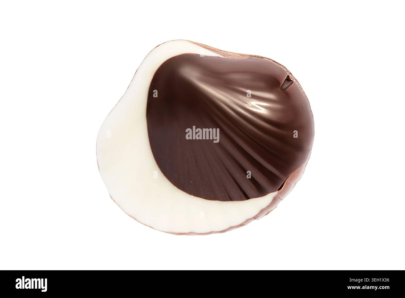 White and dark chocolate seashell candy isolated on white background Stock Photo