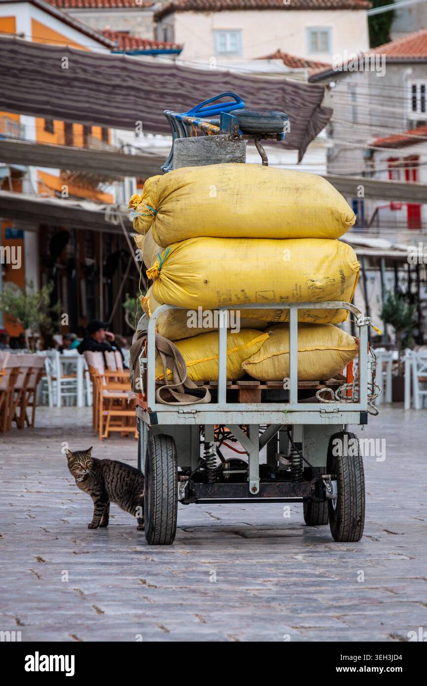 Tabby cat peers out from underneath a cart transporting goods in the port of Hydra, Greece. Stock Photo