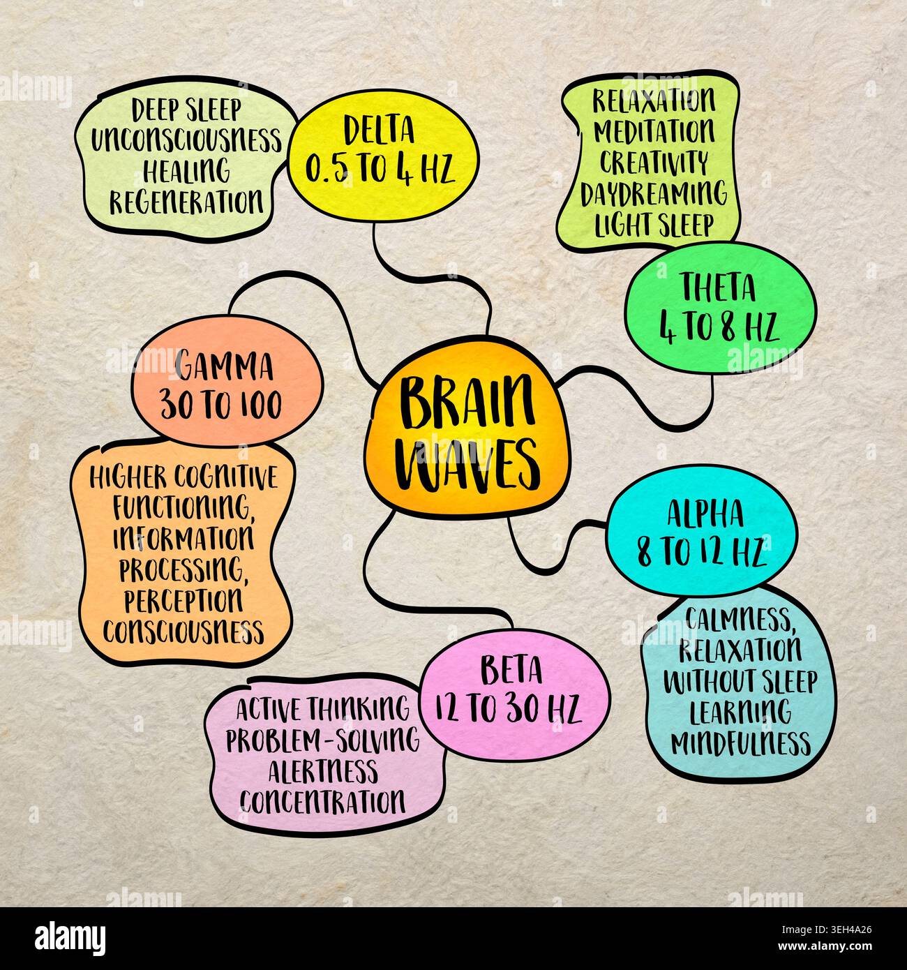 Brain waves are electrical impulses in the brain that reflect various ...