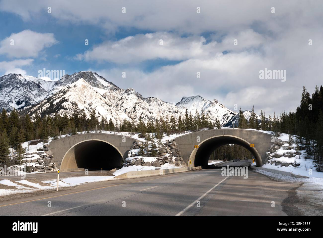 Wildlife crossing overpass on the Trans Canada Highway, Banff National ...
