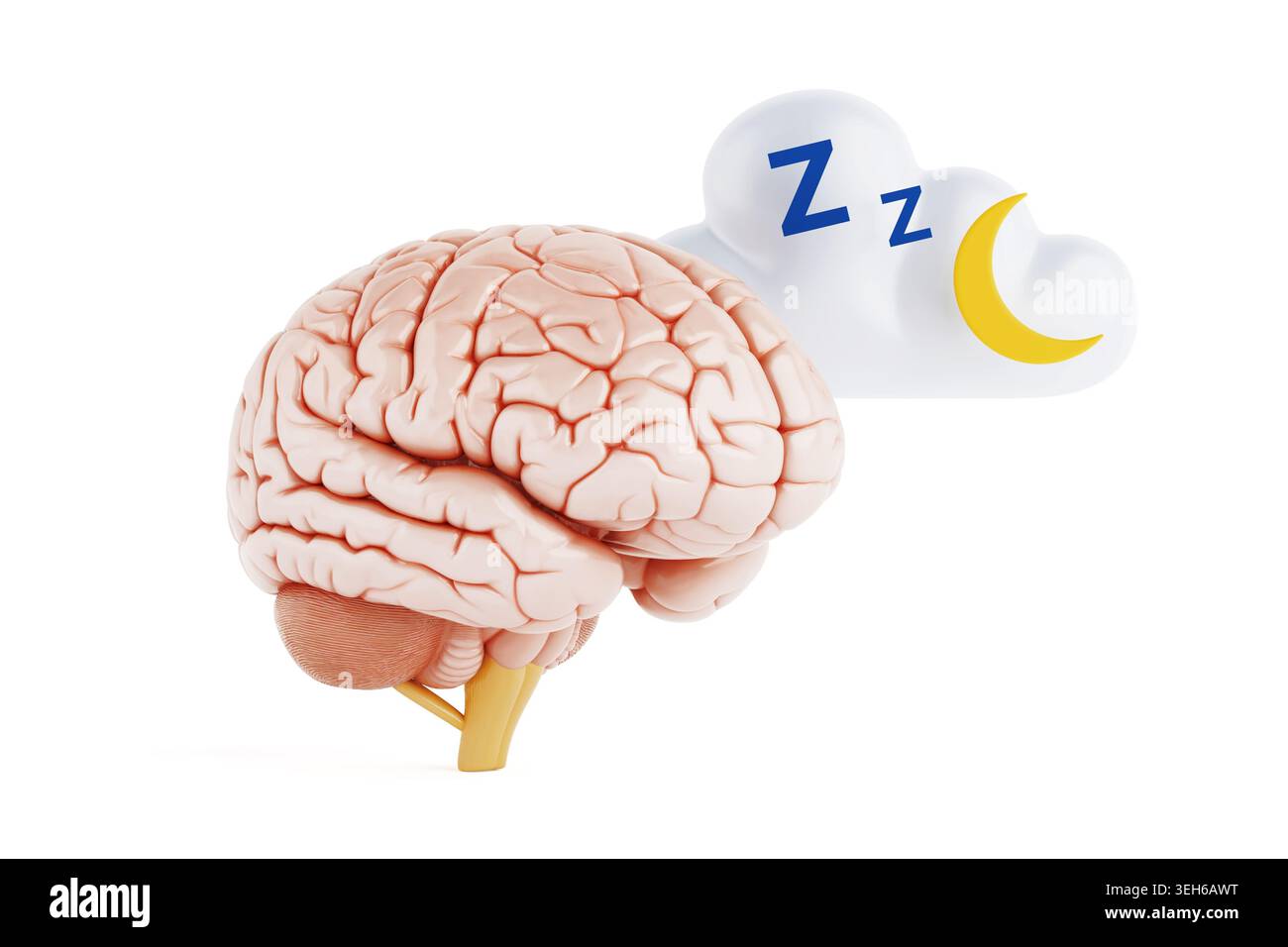 Mental Rest, Sleep Wellness And Cognitive Recovery Concept. Human Brain ...