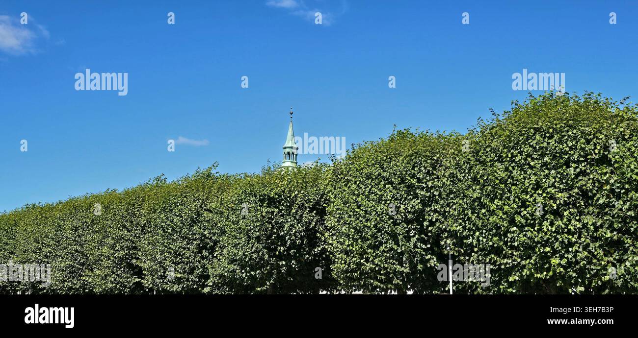 Church tower rising above green trees under a clear blue sky in Skjern, Denmark. - Smartphone Captured Stock Image