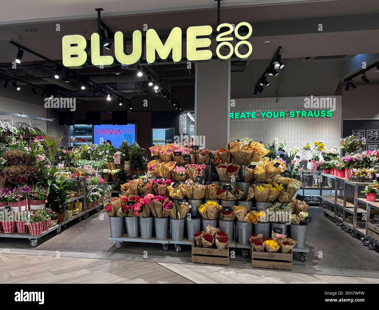 Blume 2000 hi-res stock photography and images - Alamy