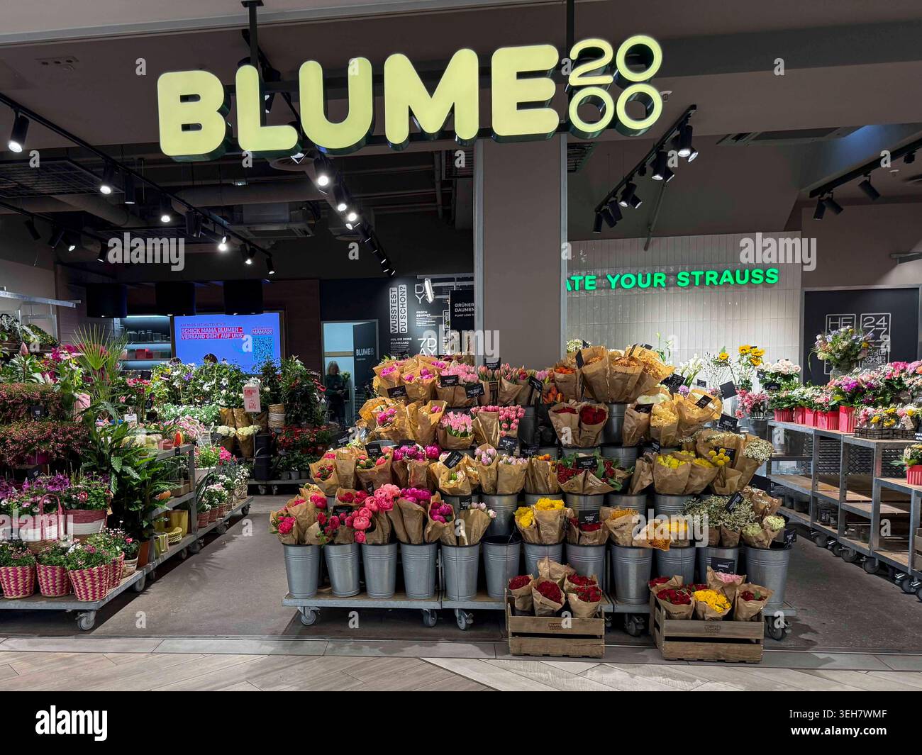 Blume 2000 hi-res stock photography and images - Alamy