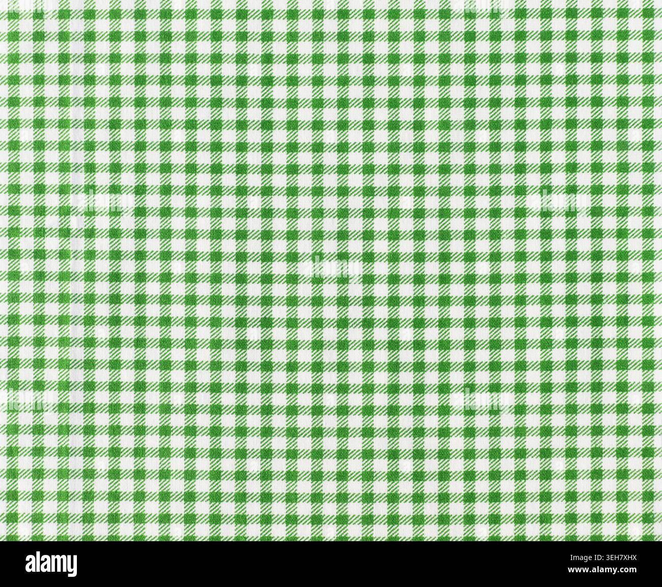 Close-up of green and white Vichy fabric texture Stock Photo