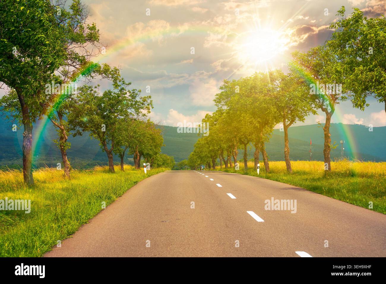 sunset over deciduous trees along the country road in to mountains. beautiful summer landscape of a slovakia countryside. beautiful travel background. Stock Photo