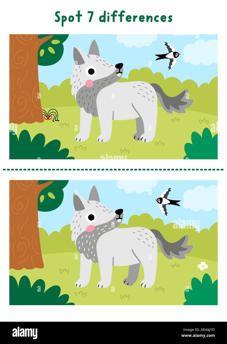 Forest find differences game for children with wolf on meadow, bird ...