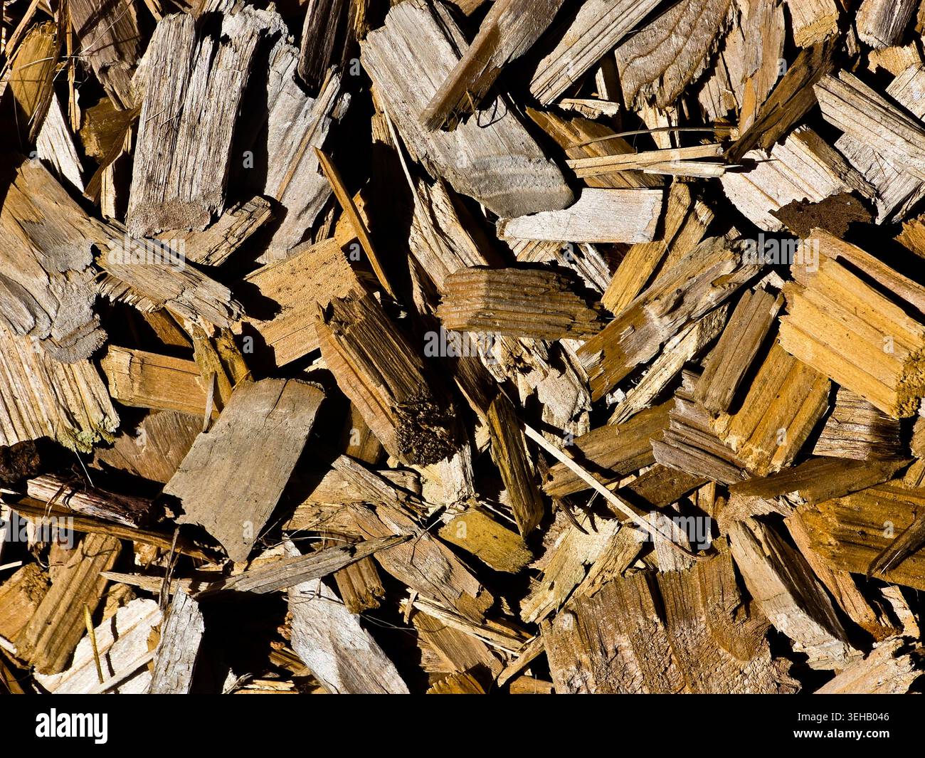 Wood Chips Texture Background in Sunlight Stock Photo