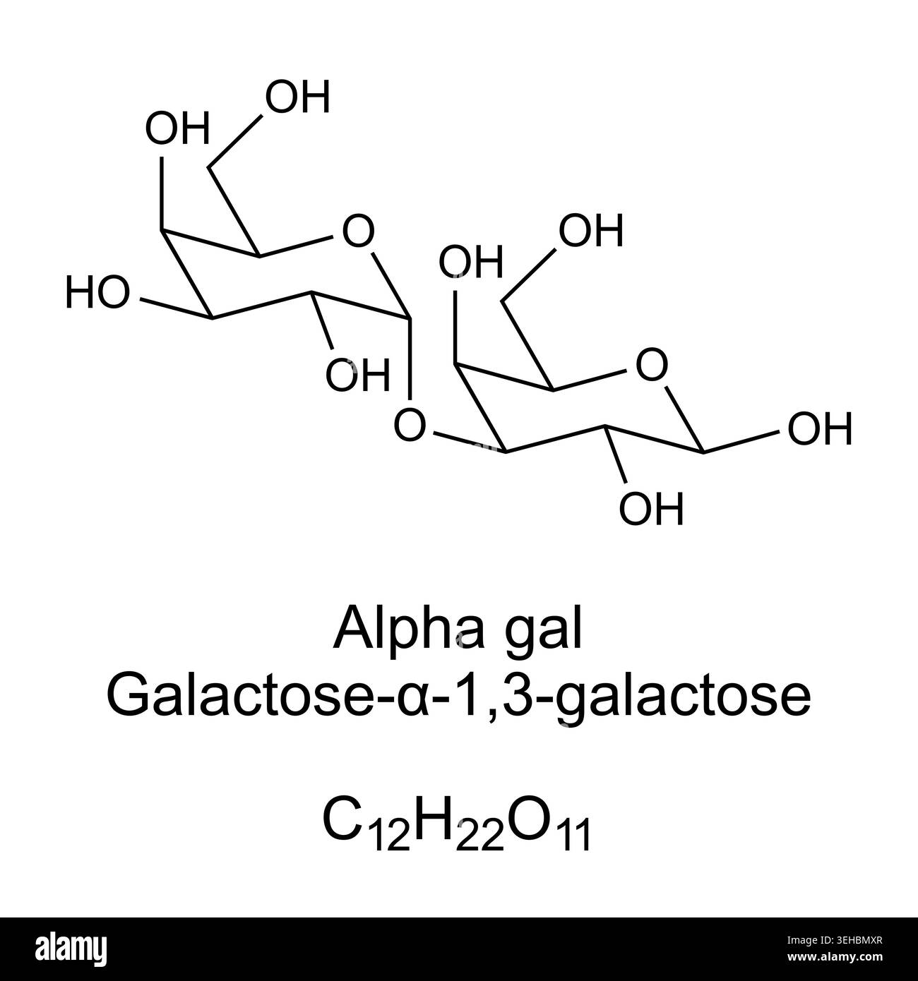 Alpha gal, or Galili antigen, chemical formula and molecular structure of galactose-α-1,3-galactose. Related to the mammalian meat allergy. Stock Photo