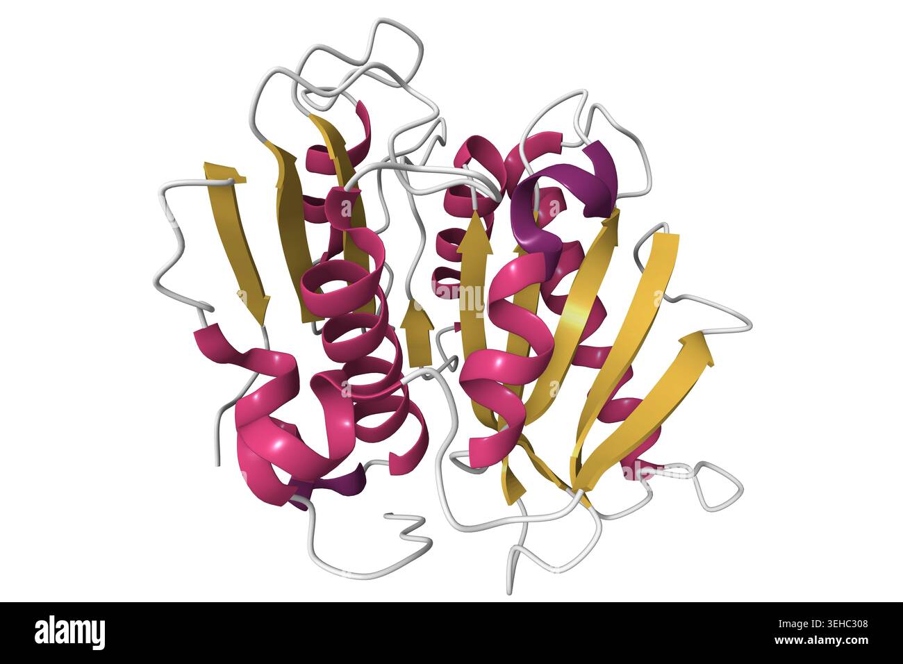 Petase Structure Ideonella sakaiensis hi-res stock photography and images - Alamy