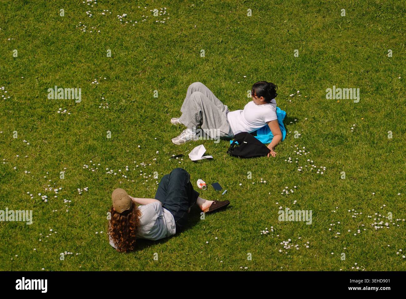 An overhead view of two people relaxing on a green grass lawn with daisies in a park in Manchester, England, UK. Stock Photo