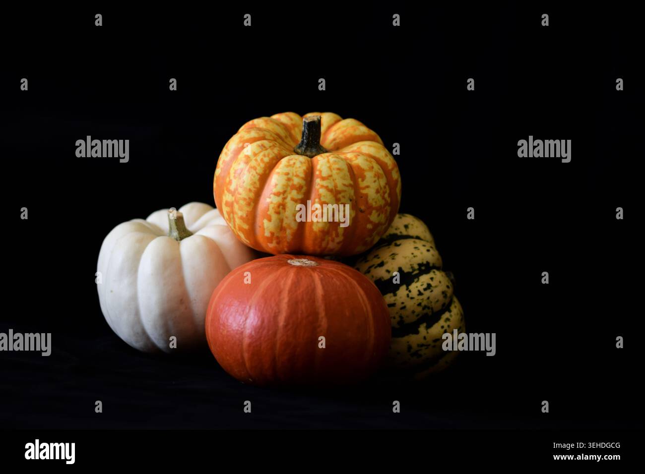 Assorted decorative pumpkins on black background Stock Photo
