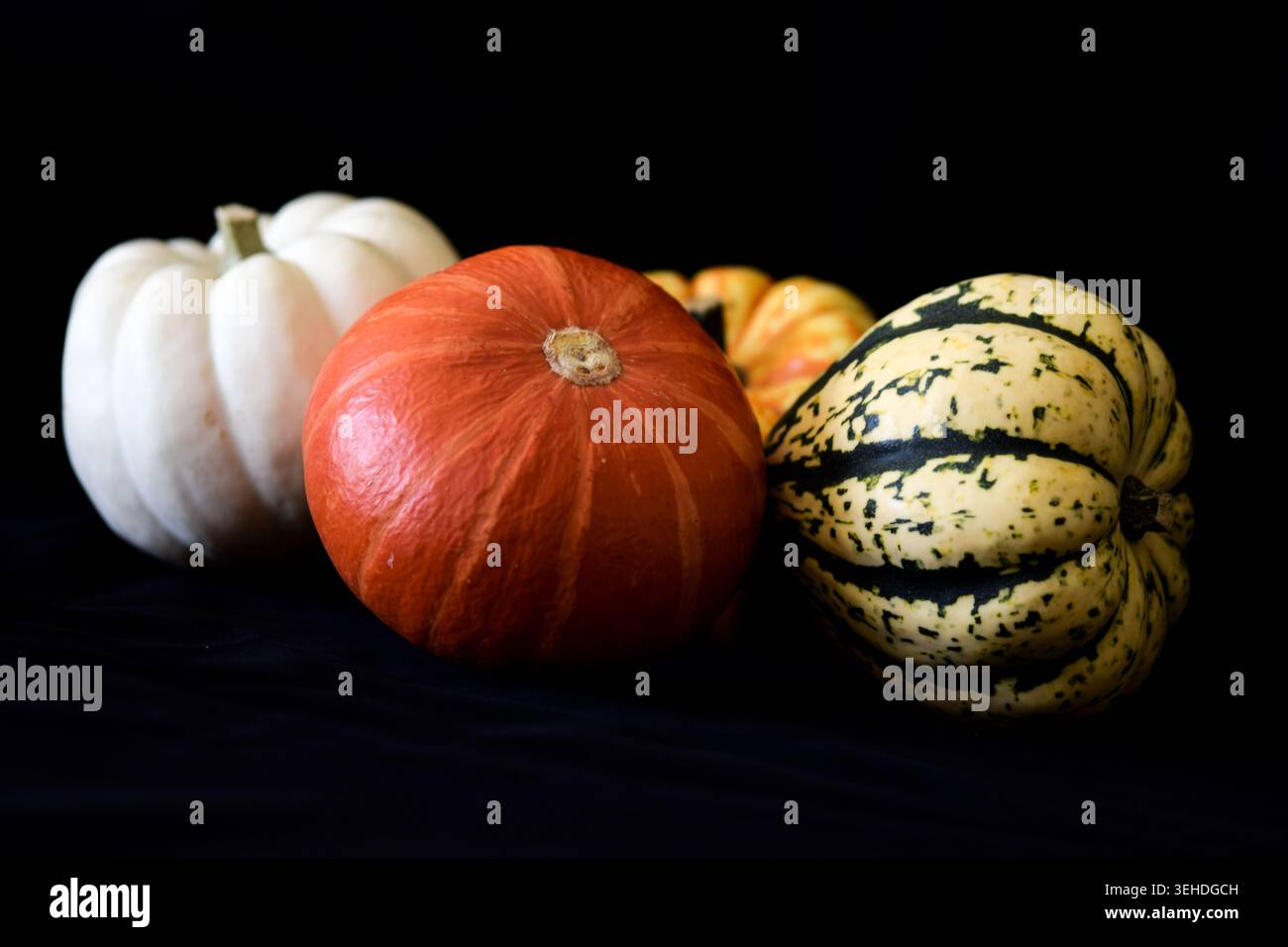 Assorted decorative pumpkins on black background Stock Photo