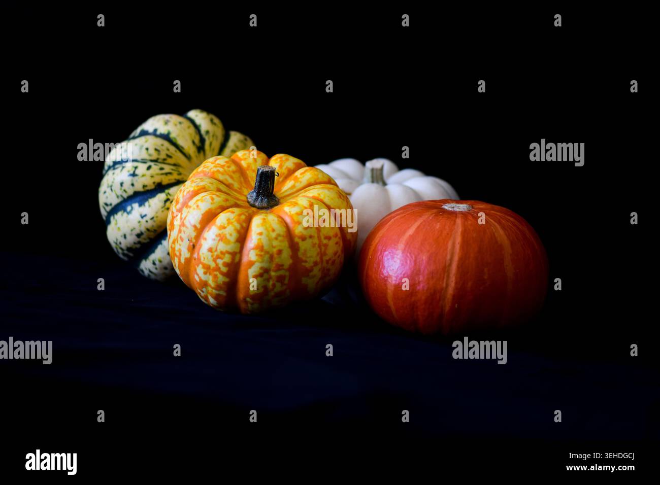 Assorted decorative pumpkins on black background Stock Photo