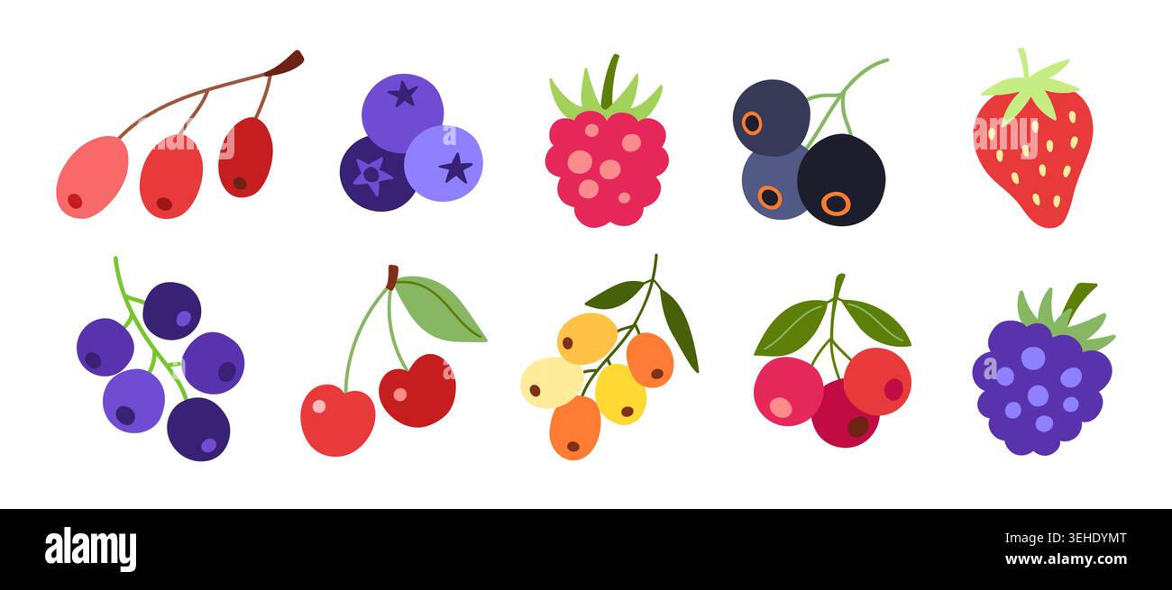 Colorful berry fruit set in flat style, isolated Stock Vector