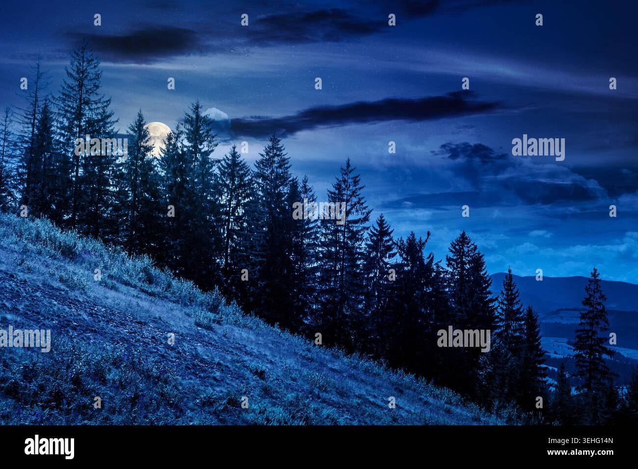 view of a hillside of mountain range with coniferous forest and meadow at night. mysterious mountain landscape in summer. nice picture with full moon Stock Photo