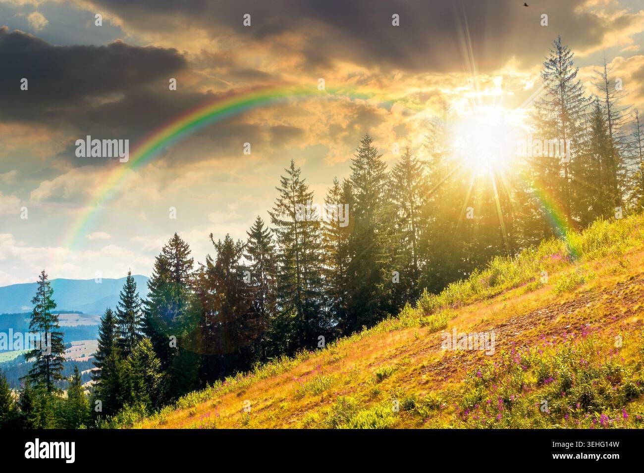 view of a sunset over hillside of mountain range with coniferous forest and meadow. peaceful mountain landscape in summer. nice picture for earth day Stock Photo