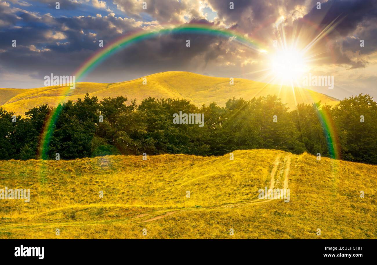 sunset over dirt road through grassy hills. mountain landscape with beech forest along the path. remote countryside. late summer scenery with primeval Stock Photo