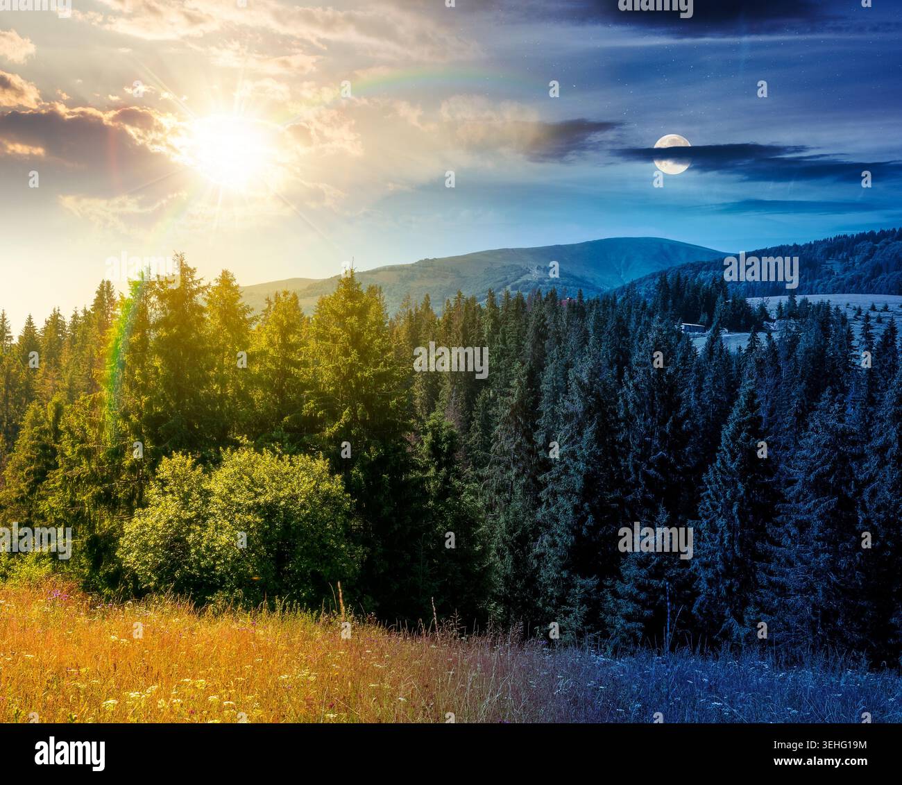 fir trees on a meadow down the will to coniferous forest in mountains. day meet night. sun and moon over nature background of carpathian mountain land Stock Photo