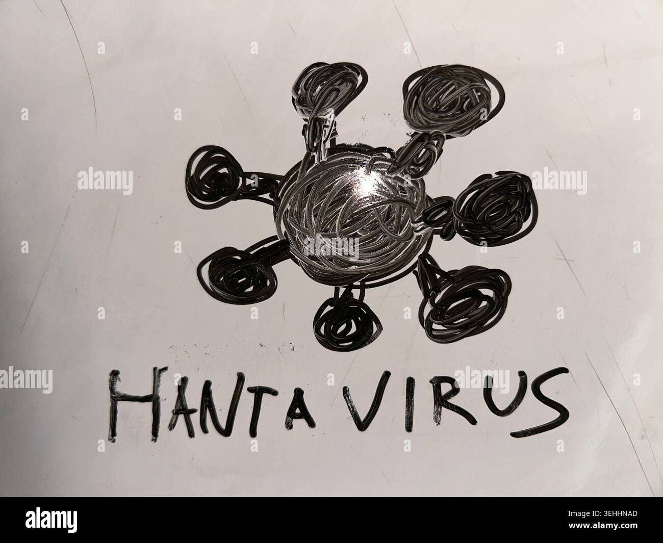 Hand-drawn illustration of a hantavirus concept featuring a black virus sketch and handwritten text on white paper. This simple educational drawing re - Smartphone Captured Stock Image