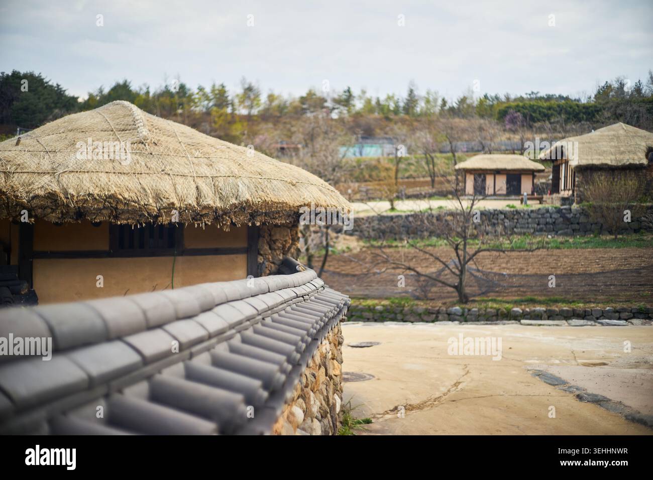 A serene landscape captures traditional Korean thatched roof houses and ...